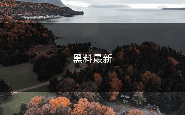 黑料最新