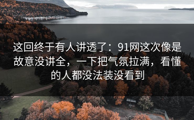 这回终于有人讲透了：91网这次像是故意没讲全，一下把气氛拉满，看懂的人都没法装没看到