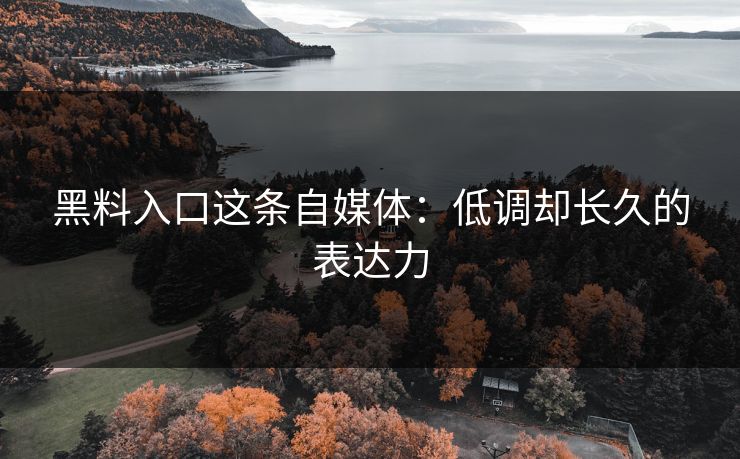 黑料入口这条自媒体：低调却长久的表达力
