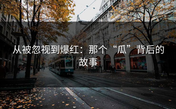 从被忽视到爆红：那个“瓜”背后的故事