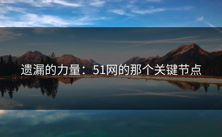 遗漏的力量：51网的那个关键节点
