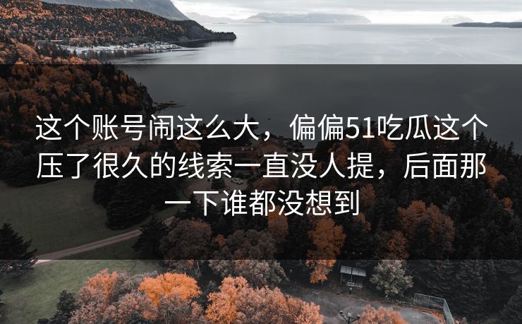 这个账号闹这么大，偏偏51吃瓜这个压了很久的线索一直没人提，后面那一下谁都没想到