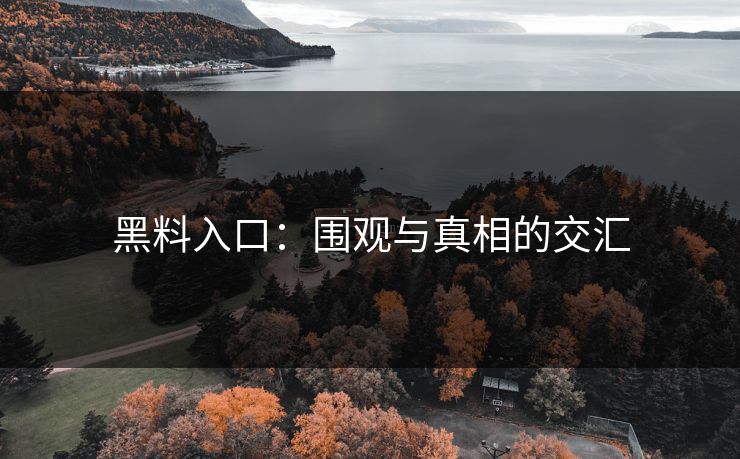 黑料入口：围观与真相的交汇